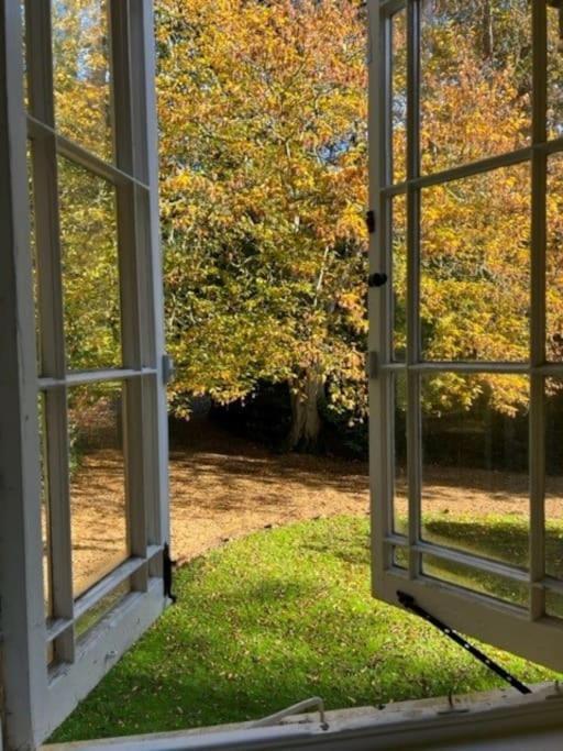Landford'S Cottage, Your Retreat! Esterno foto